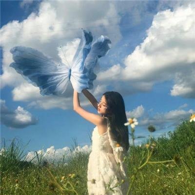 鲱云海报